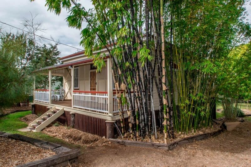 8 Ferrett Street, Sadliers Crossing QLD 4305, Sadliers Crossing - Thumbnail 4