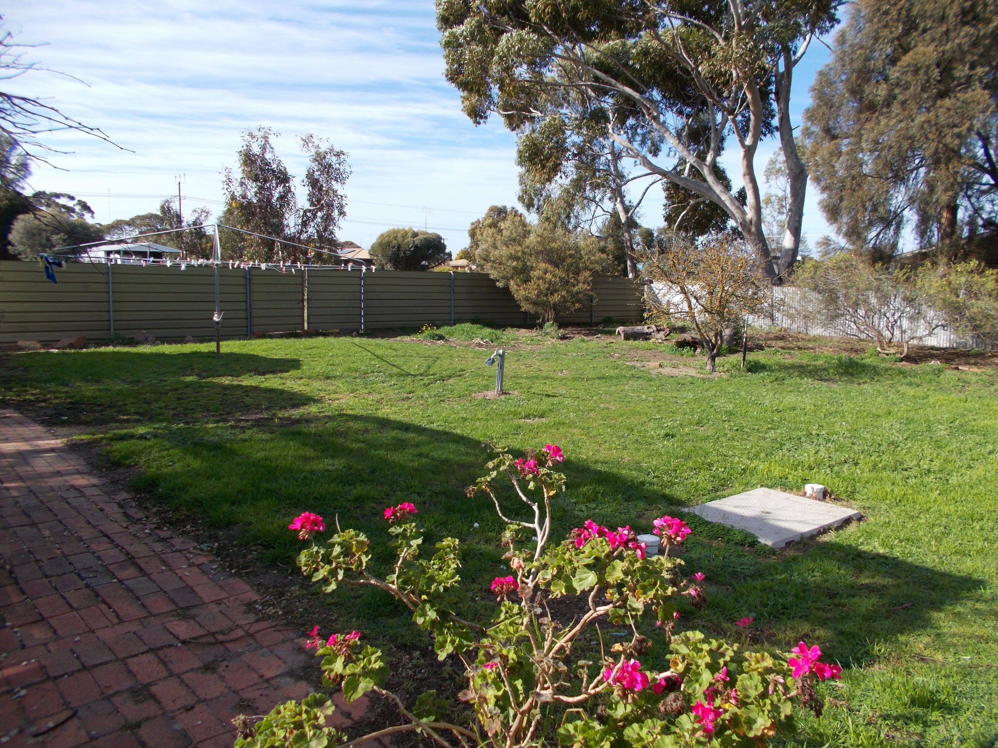 22 Bertha Street, Bordertown SA 5268, Bordertown - Thumbnail 3