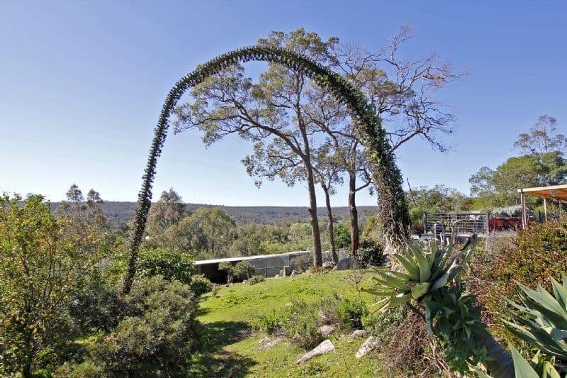 26 Marsh Court, JARRAHDALE WA 6124, Jarrahdale - Thumbnail 3