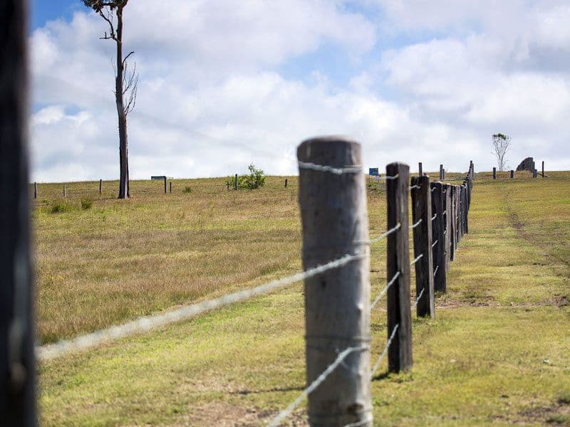 80 Stockman Downs' Karinya Circuit, Sunshine Acres QLD 4655, Sunshine Acres - Thumbnail 3