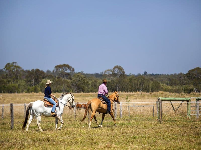 80 Stockman Downs' Karinya Circuit, Sunshine Acres QLD 4655, Sunshine Acres - Thumbnail 5