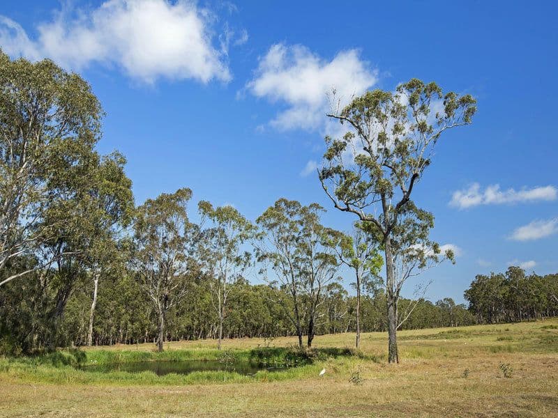 80 Stockman Downs' Karinya Circuit, Sunshine Acres QLD 4655, Sunshine Acres - Thumbnail 7