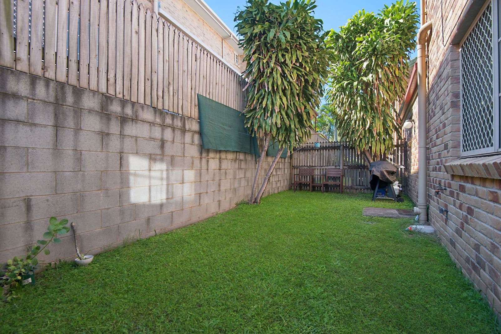1162 Cavendish Road, Mount Gravatt East QLD 4122, Mount Gravatt East - Thumbnail 7