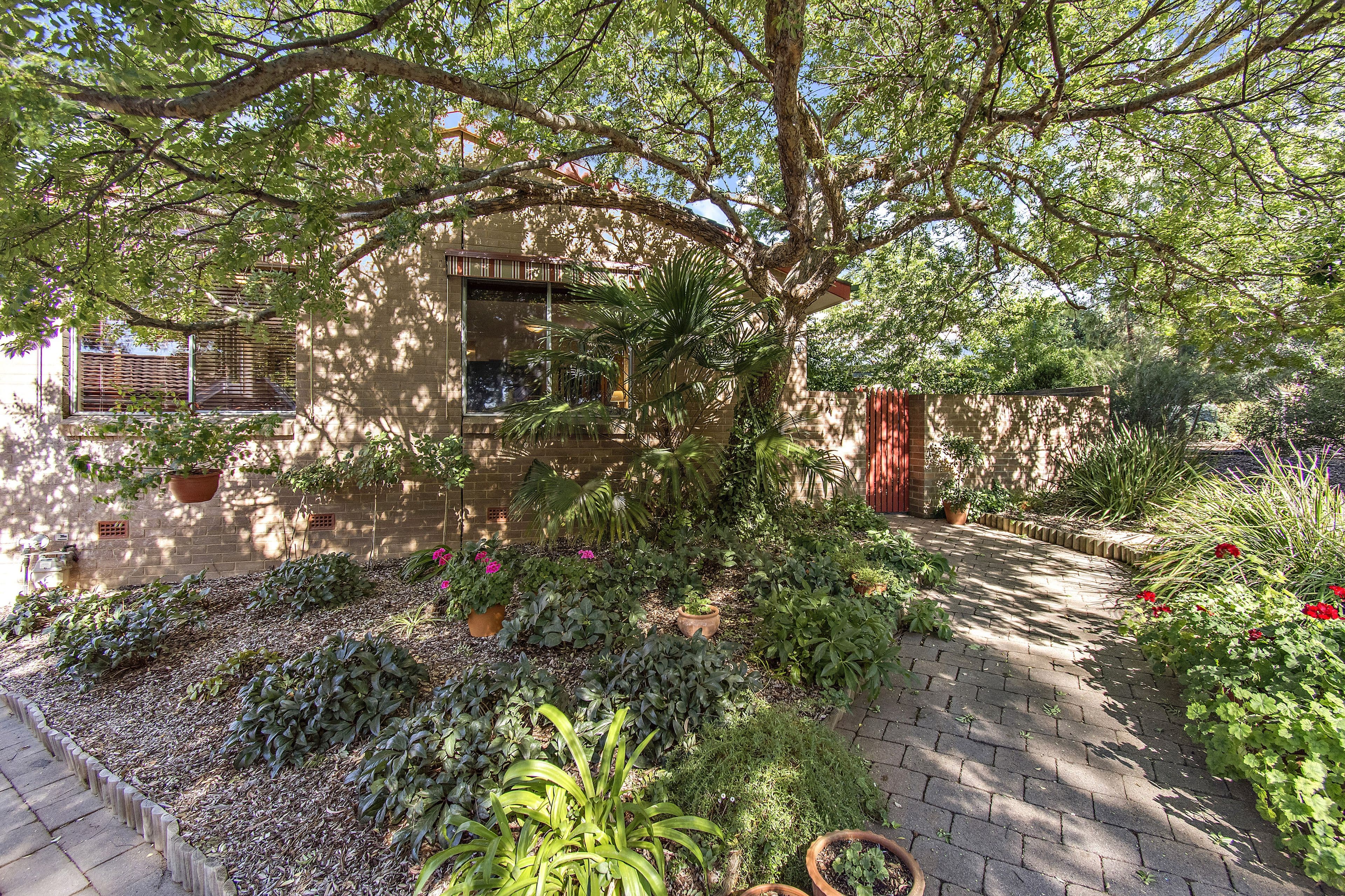 27 Skinner Street, Cook ACT 2614, Cook - Thumbnail 3