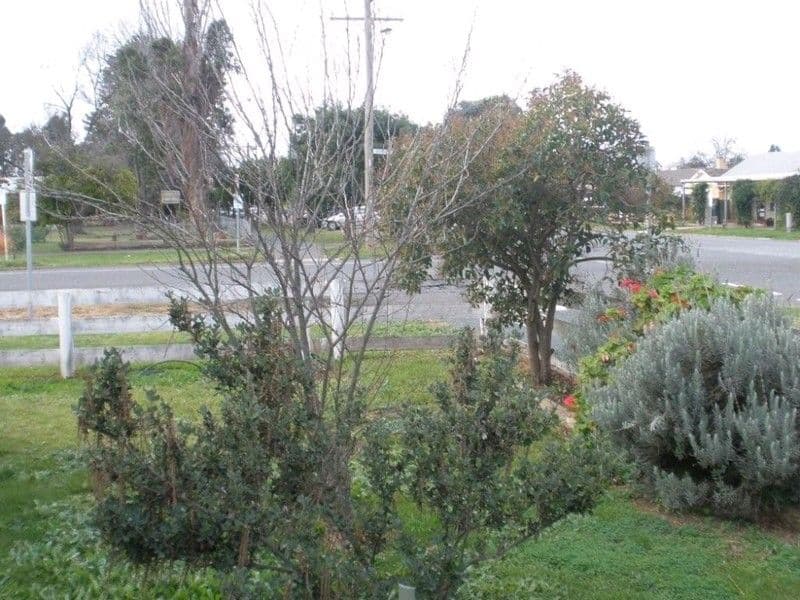 14 Edward Street, ROCHESTER VIC 3561, Rochester - Thumbnail 8