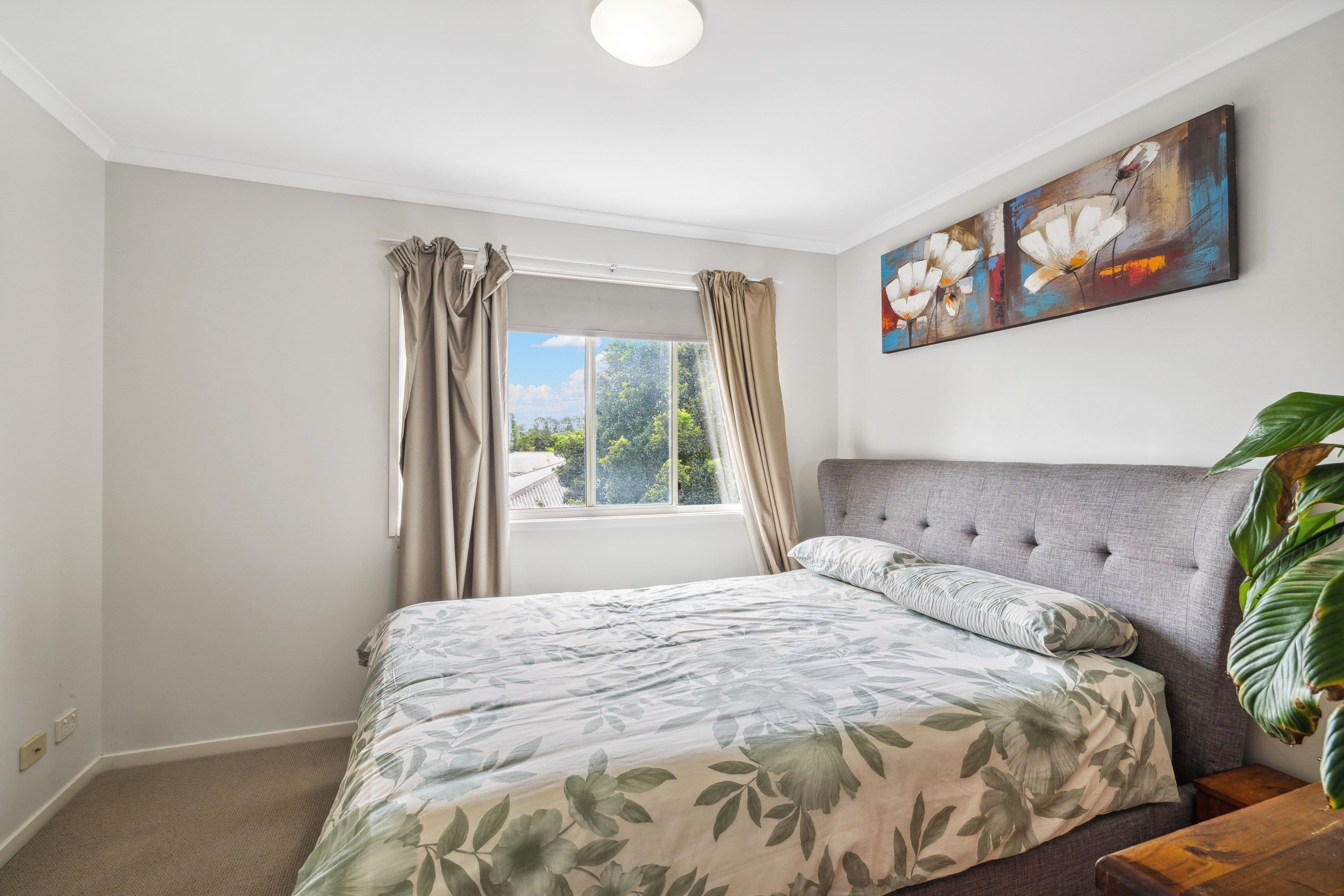 31 Swan Street, Beerwah QLD 4519, Beerwah - Thumbnail 7