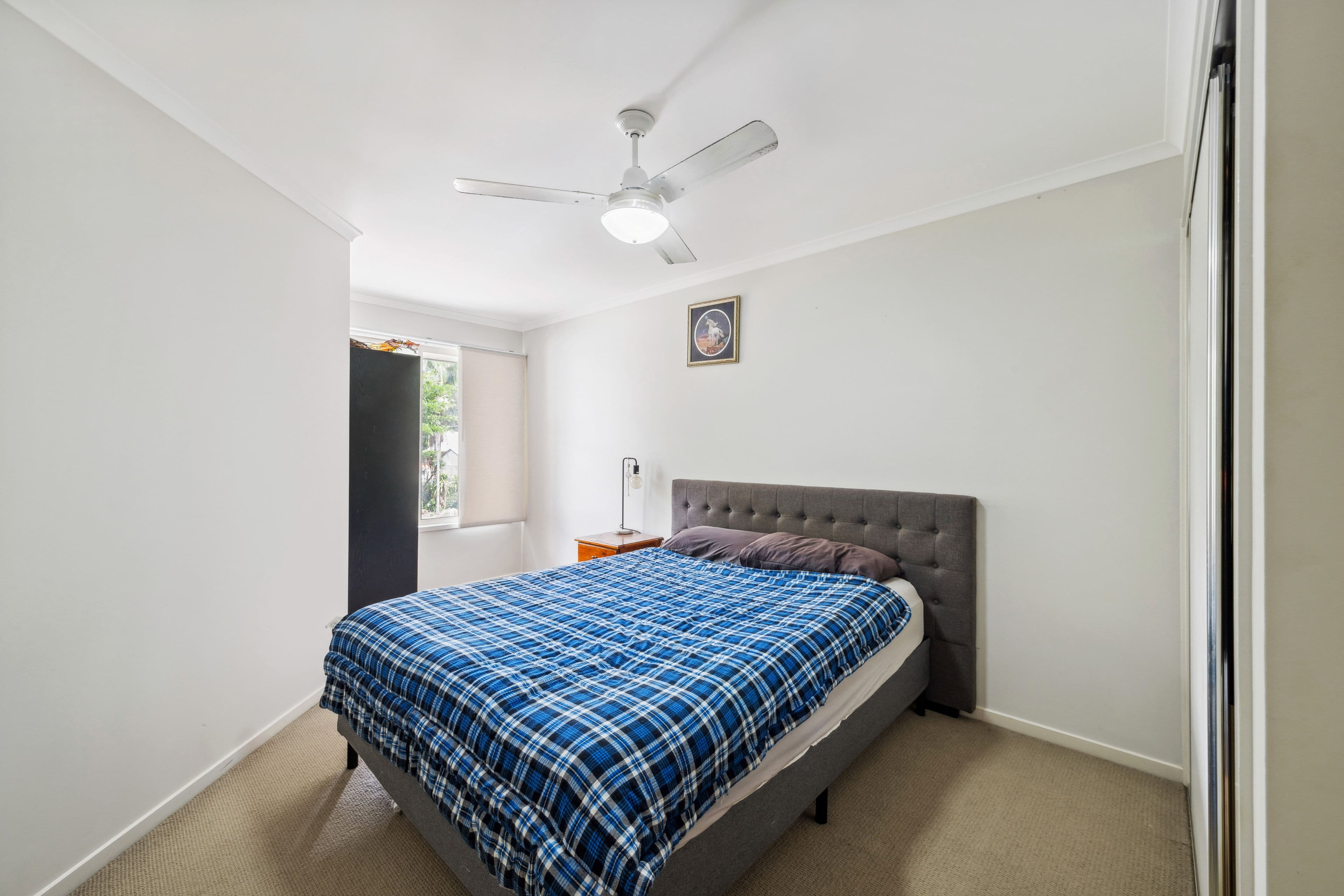 31 Swan Street, Beerwah QLD 4519, Beerwah - Thumbnail 8