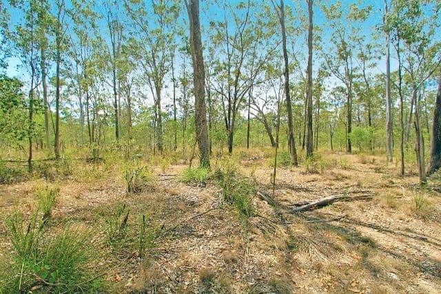 333 Pine Mountain Road, Mulara QLD 4703, Mulara - Thumbnail 2