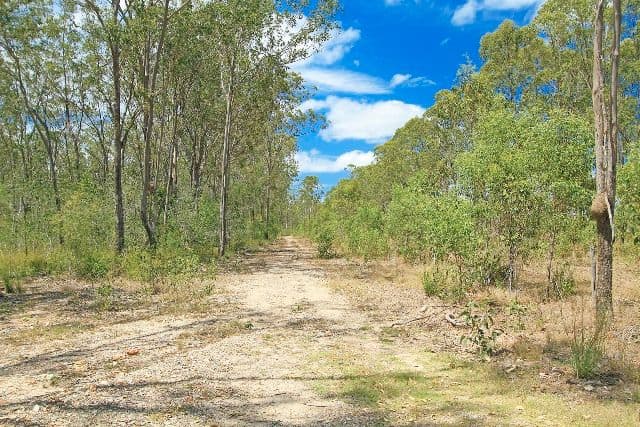 333 Pine Mountain Road, Mulara QLD 4703, Mulara - Thumbnail 4