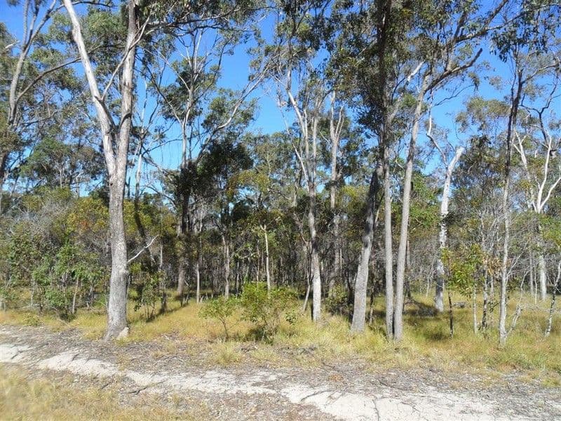 6 Rolys Road, TAKURA QLD 4655, Takura - Thumbnail 3