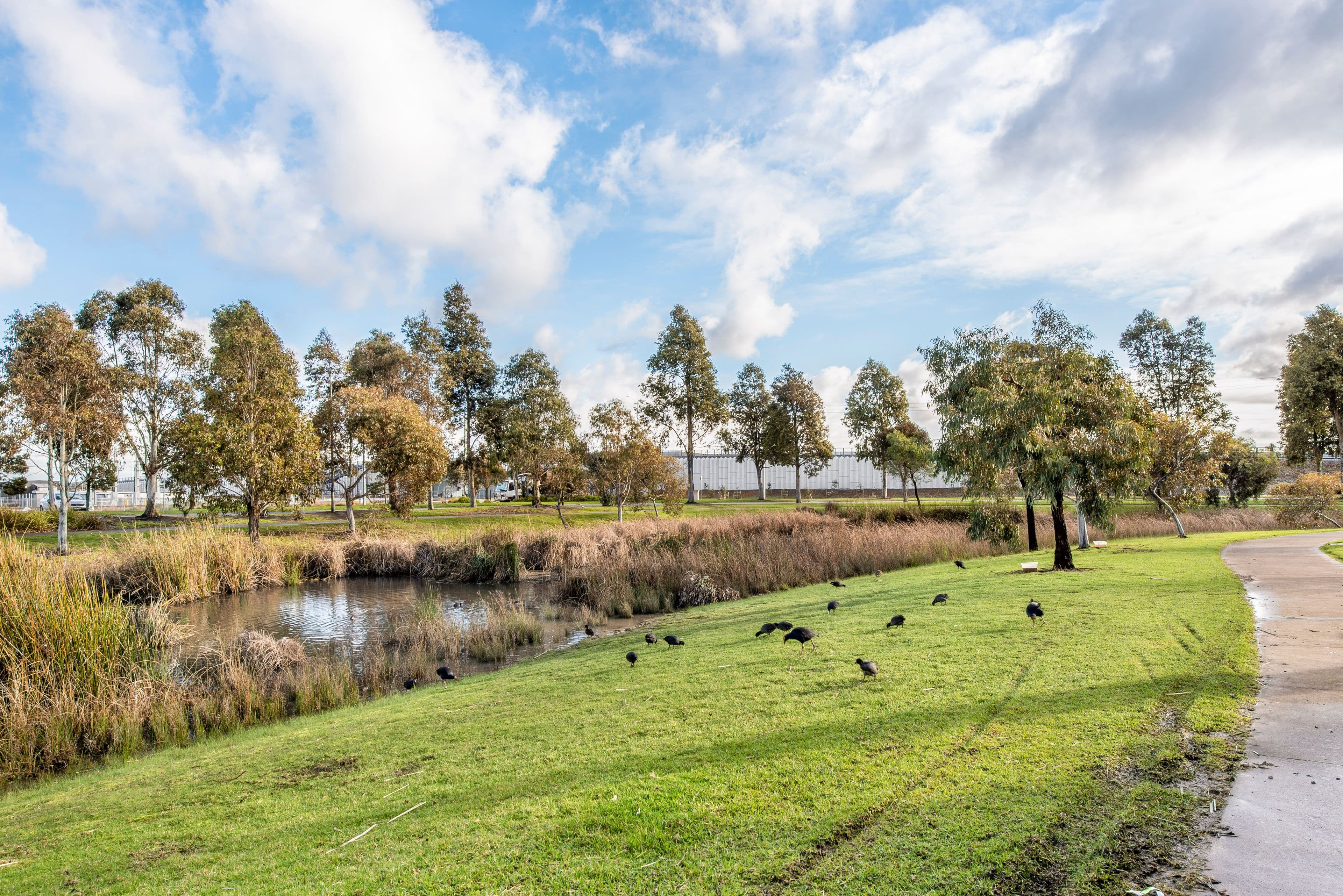 21 Pendula Place, Pakenham VIC 3810, Pakenham - Thumbnail 8
