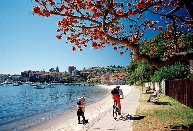 23  William Street, DOUBLE BAY NSW 2028, Double Bay - Thumbnail 6