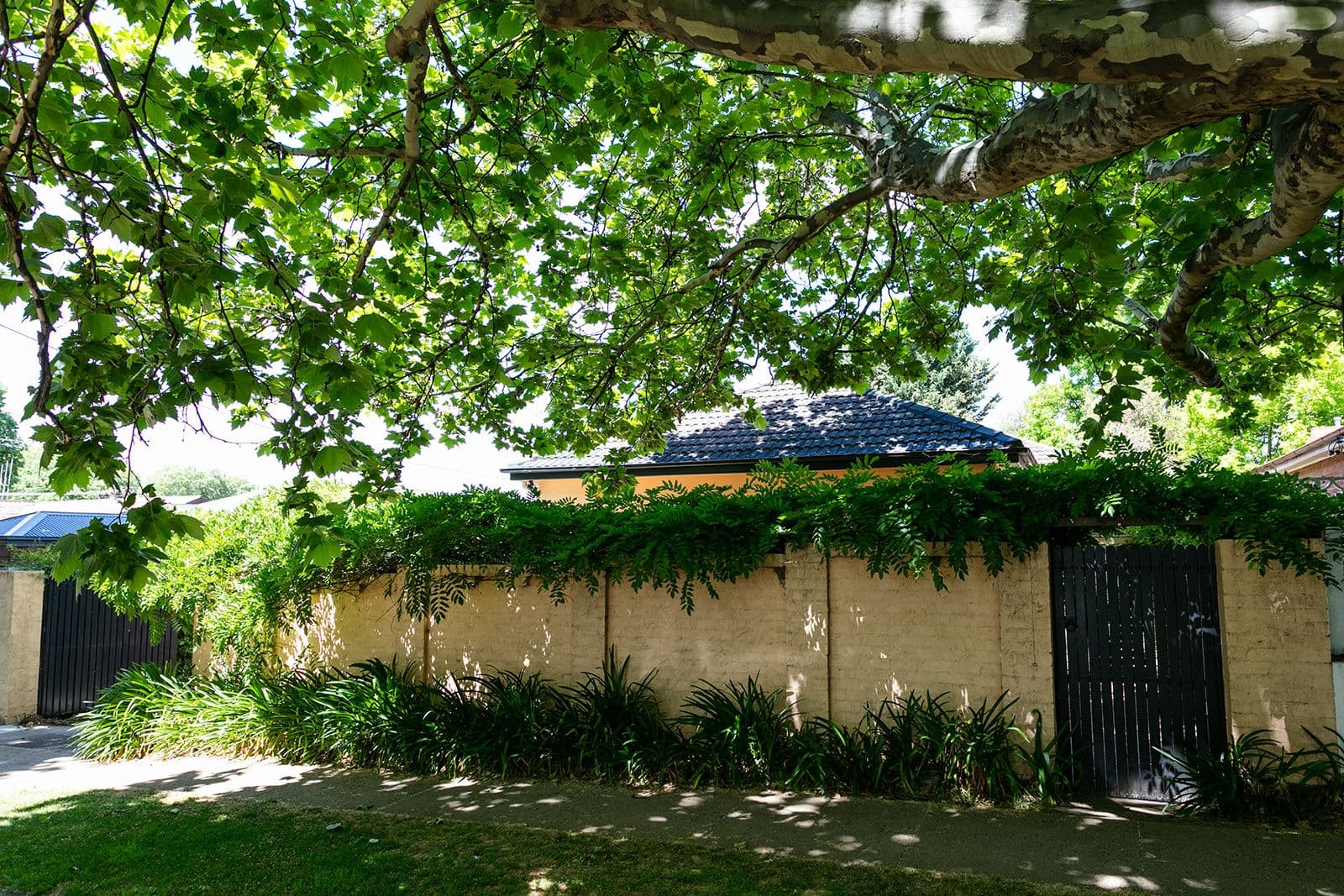 106 Hill Street, Orange - Thumbnail 4