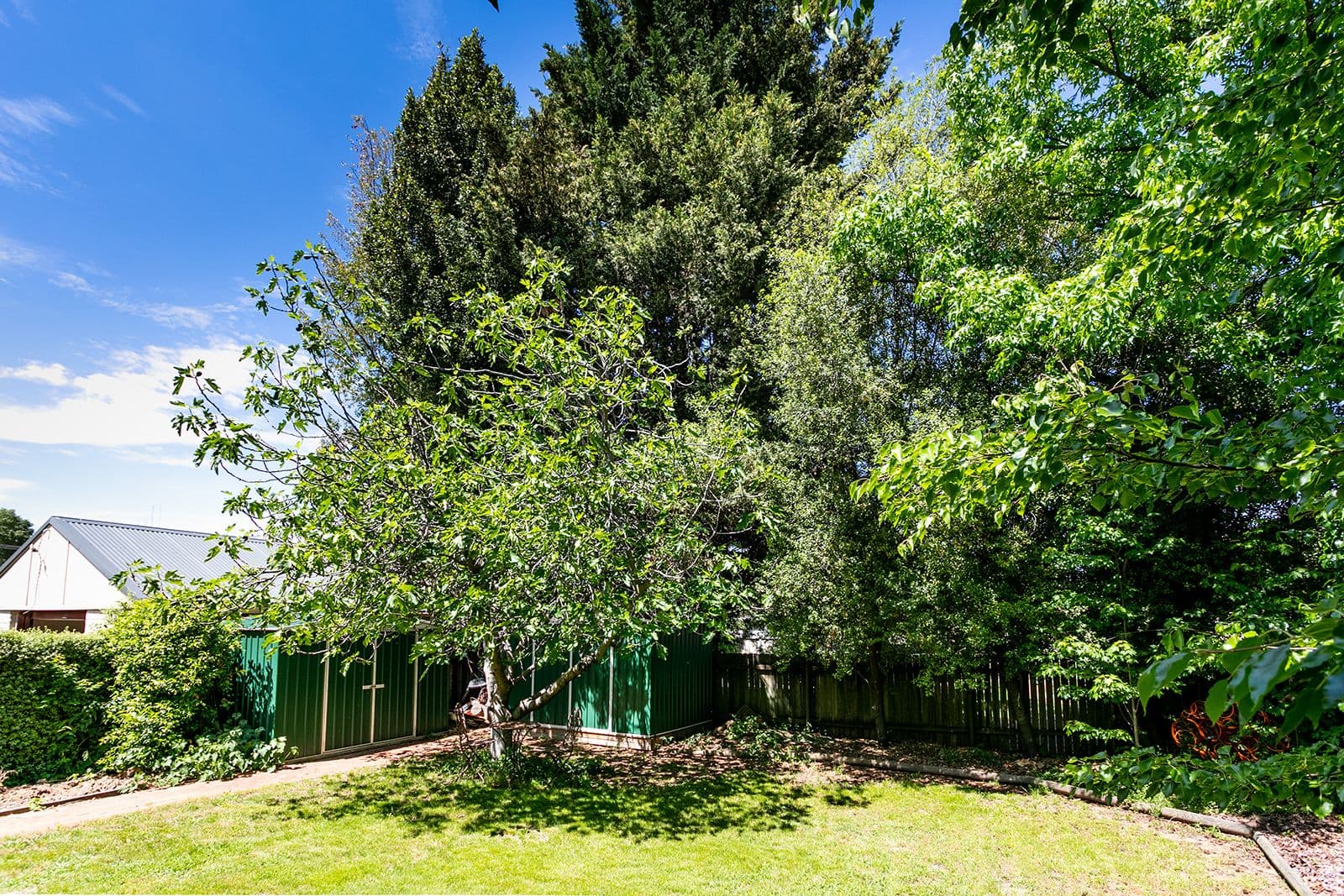 106 Hill Street, Orange - Thumbnail 7