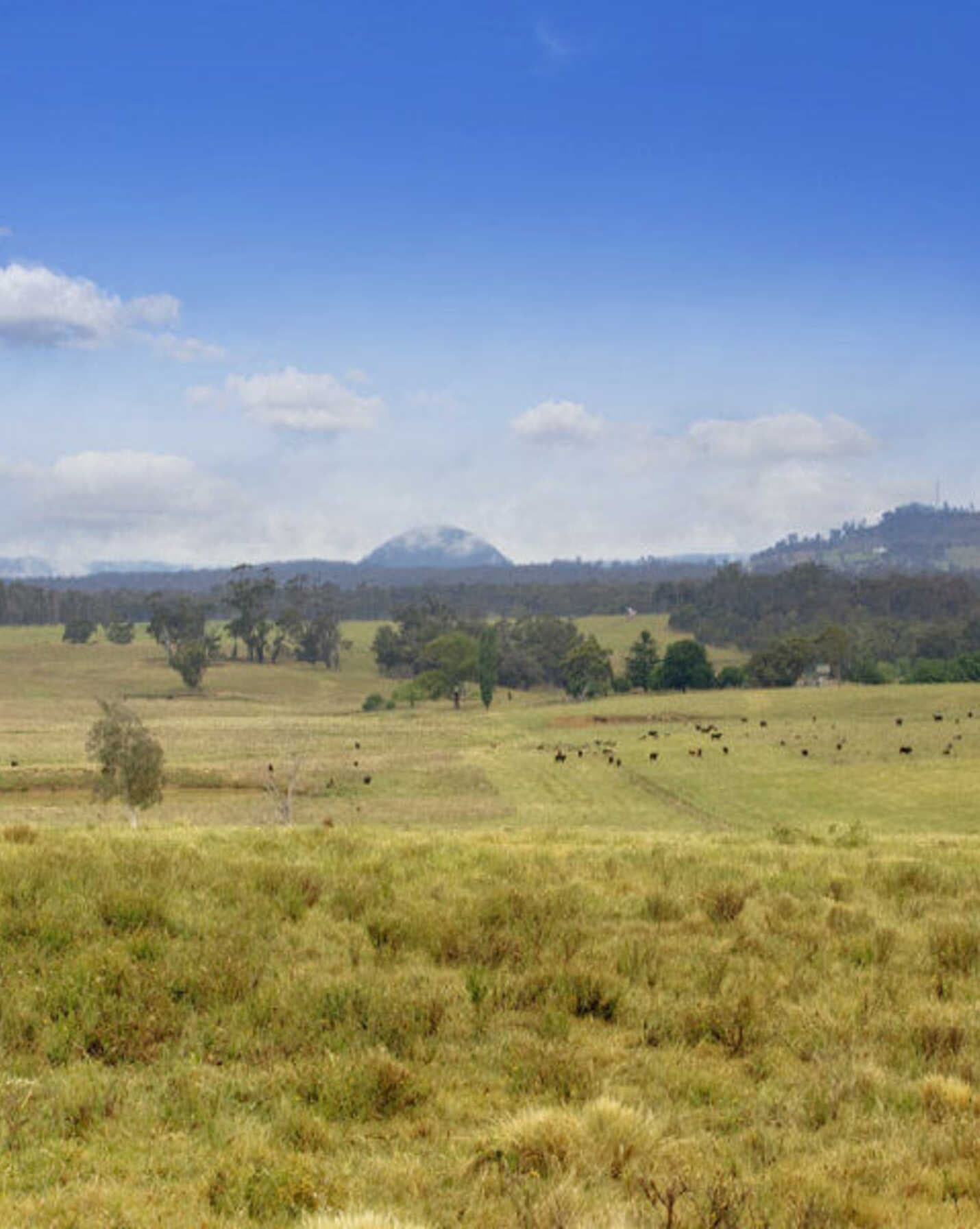 Lot 9 'Wanganderry North High Range, Range - Thumbnail 2