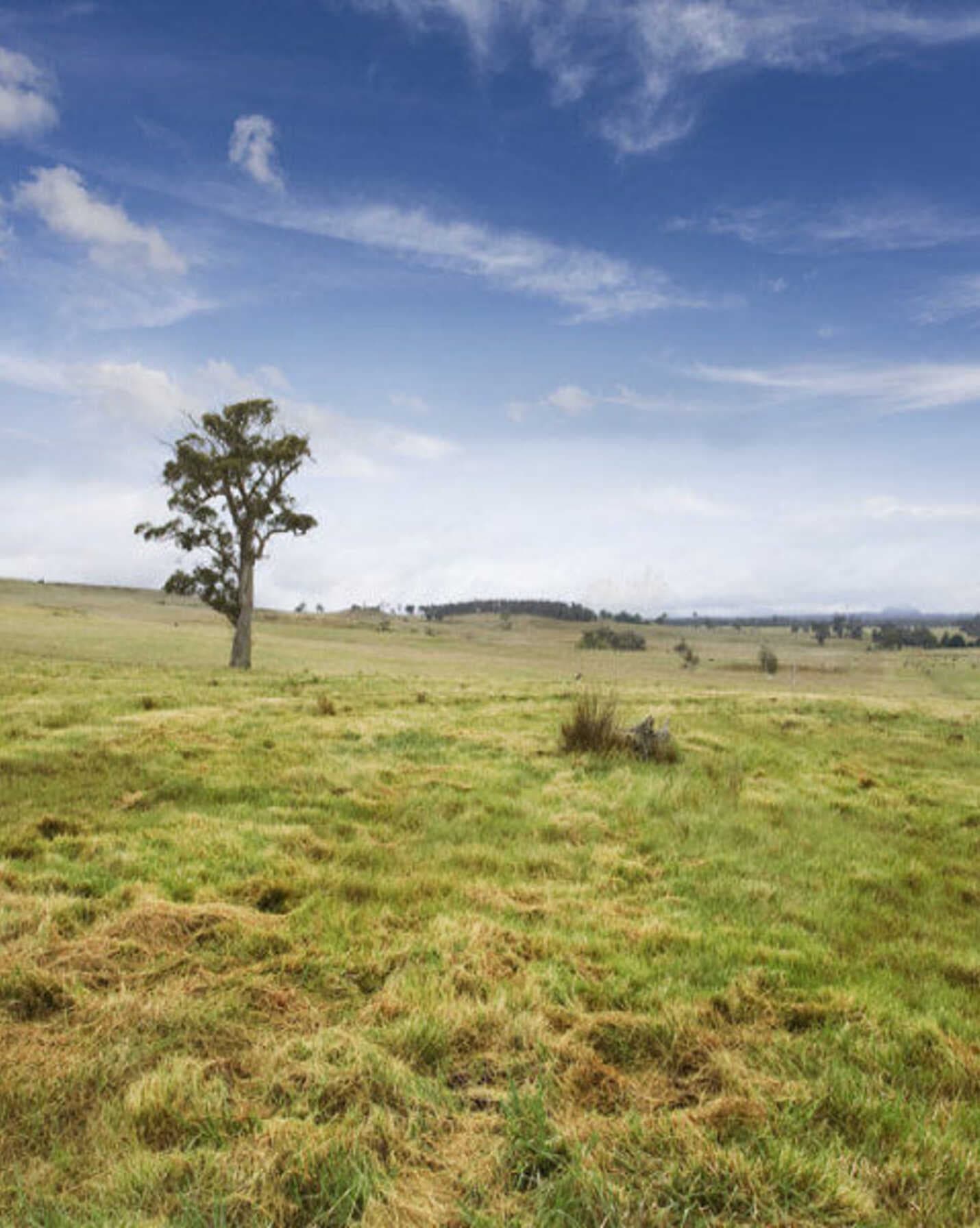 Lot 9 'Wanganderry North High Range, Range - Thumbnail 4