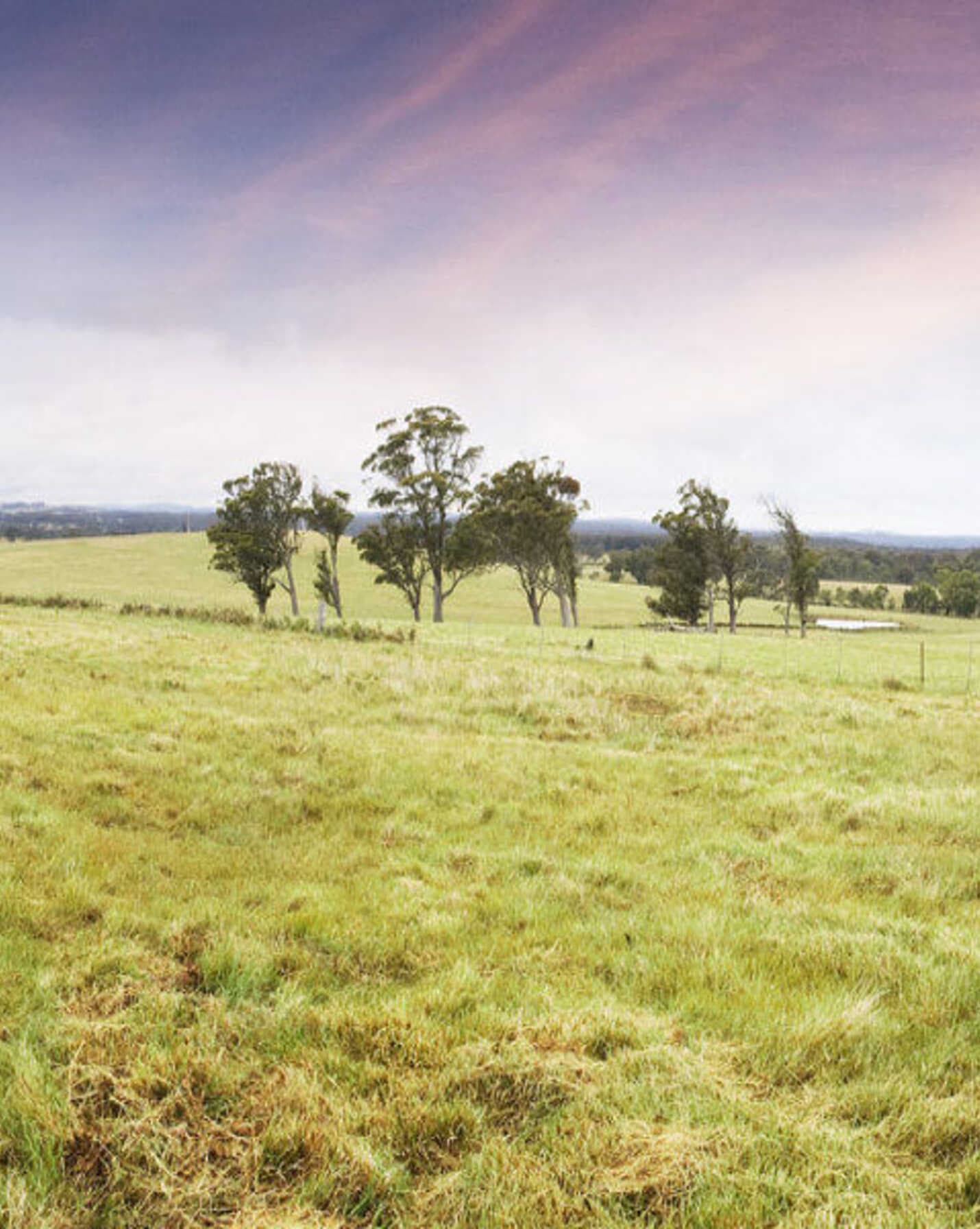 Lot 9 'Wanganderry North High Range, Range - Thumbnail 5