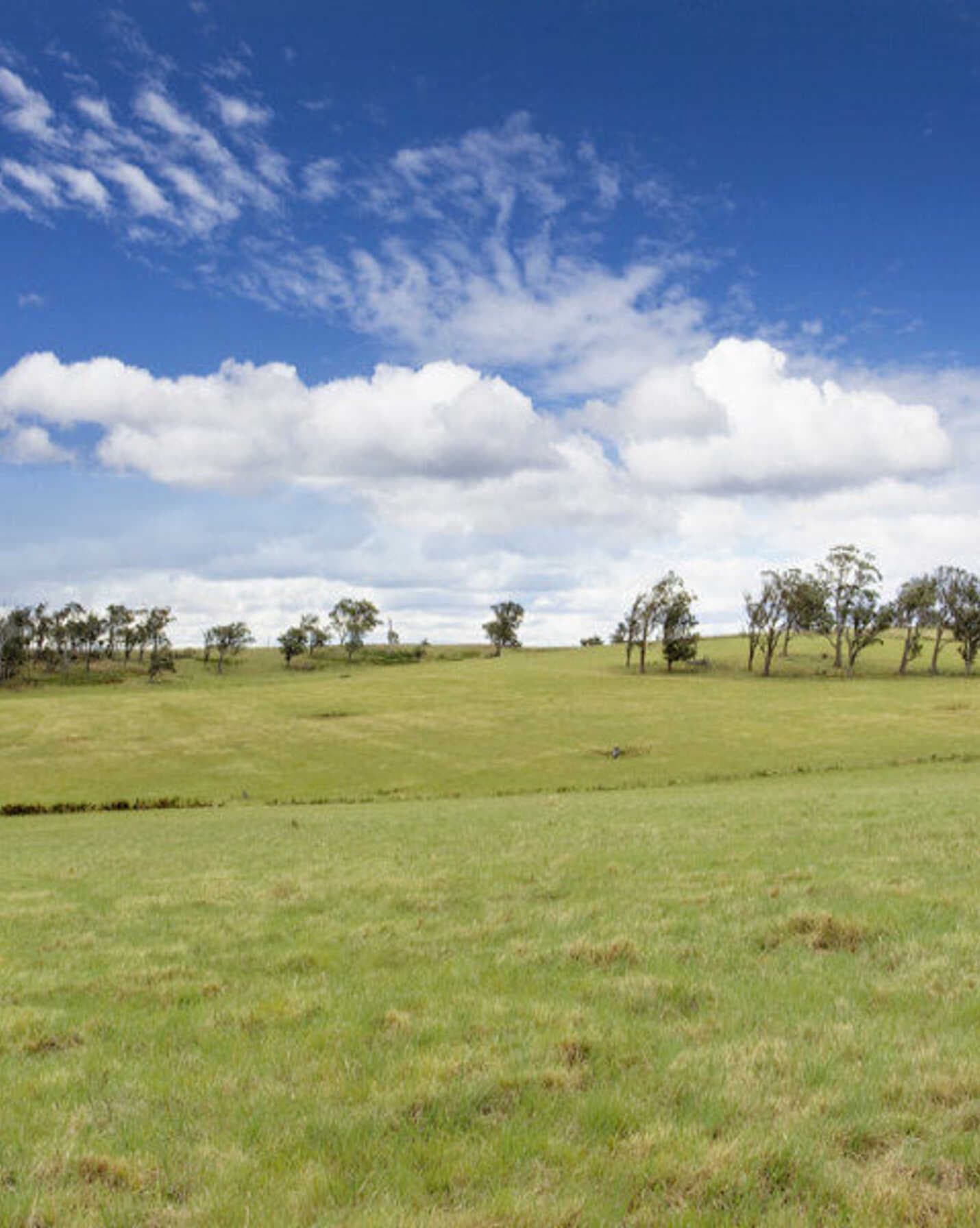 Lot 9 'Wanganderry North High Range, Range - Thumbnail 7