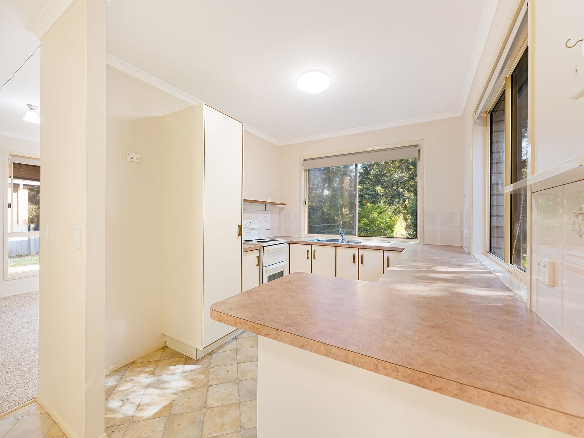 16 Primrose Court, Palmwoods QLD 4555, Palmwoods - Thumbnail 5