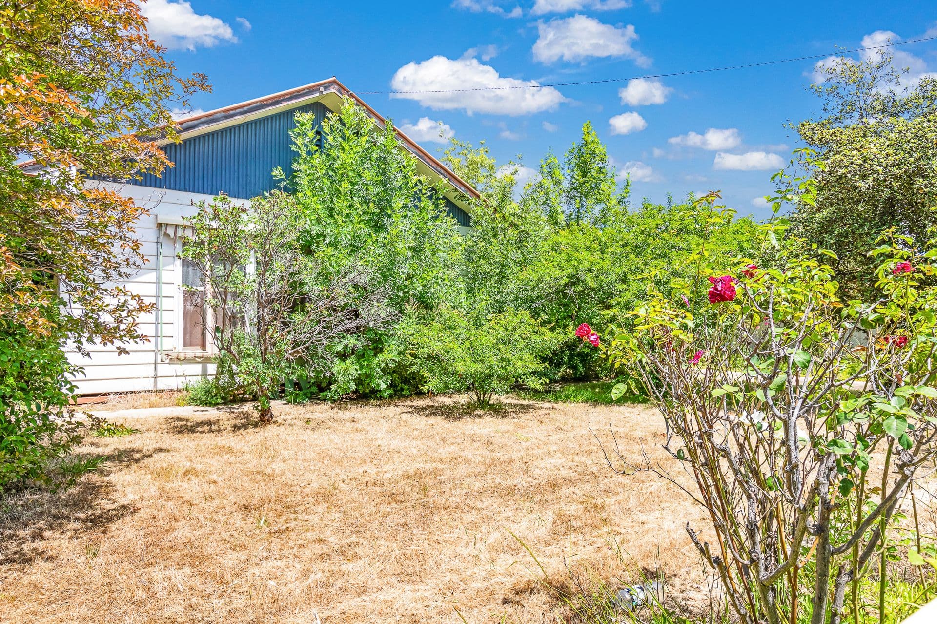 17 Echuca Street, Moama NSW 2731, Moama - Image 1