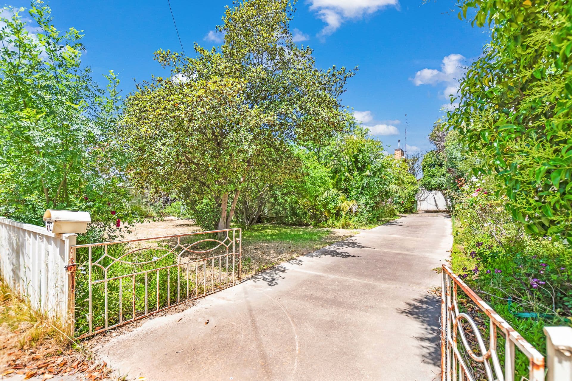 17 Echuca Street, Moama NSW 2731, Moama - Thumbnail 5