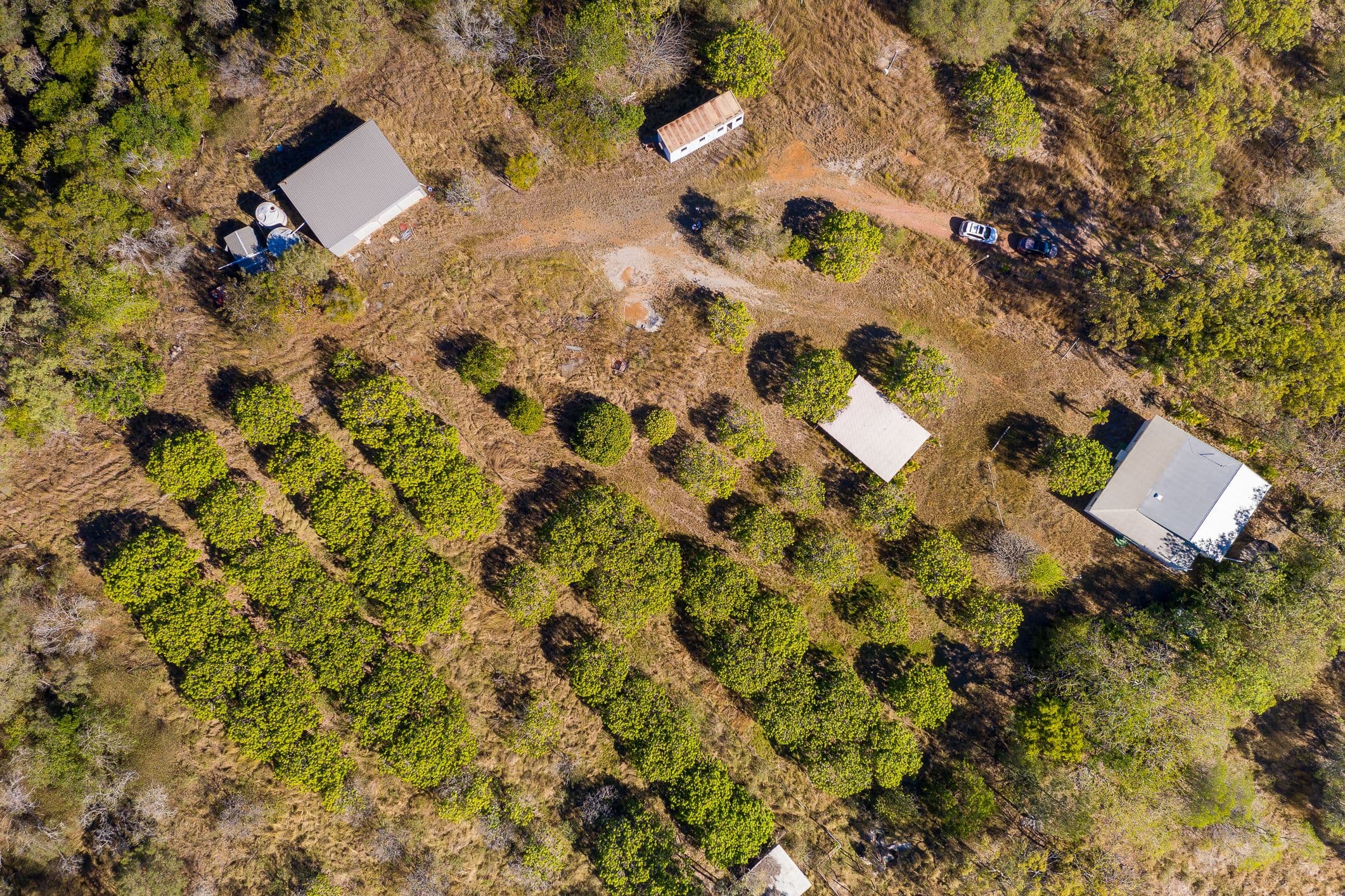 1130 Calliope River Road, West Stowe QLD 4680, West Stowe - Thumbnail 2