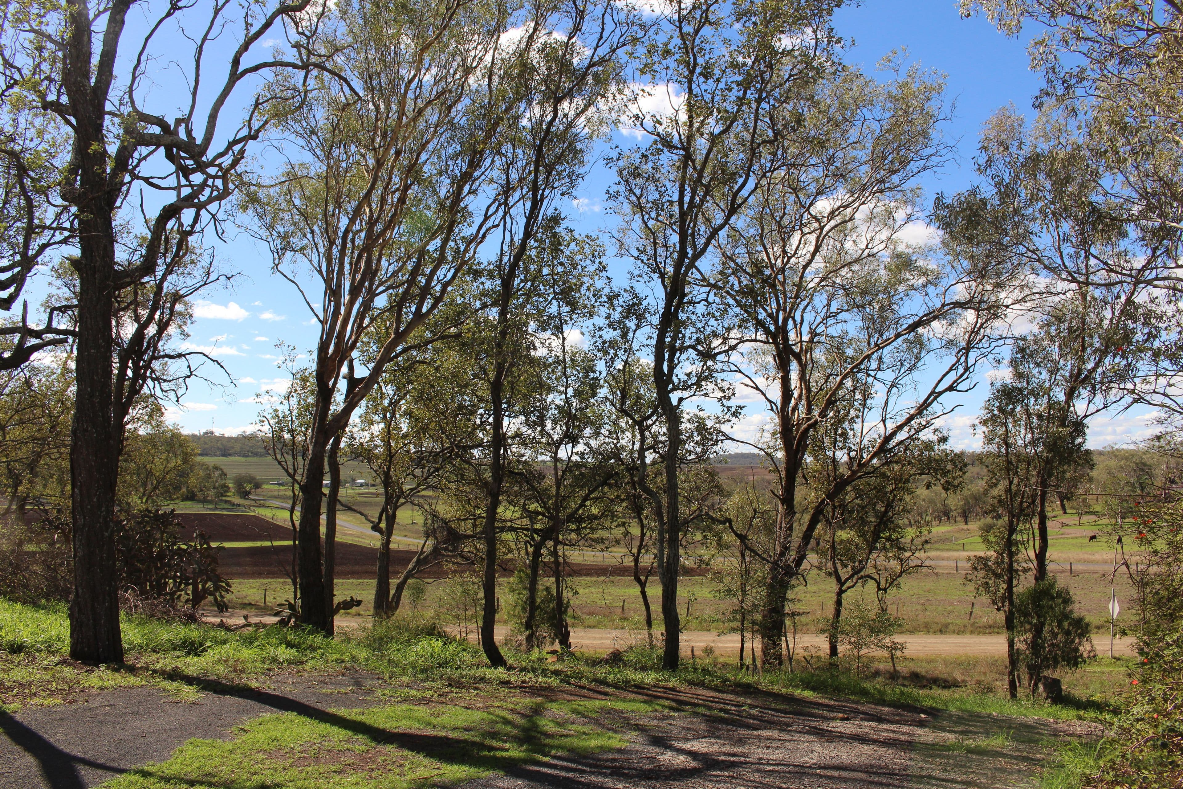 7 Droney Road, Southbrook QLD 4363, Southbrook - Thumbnail 3