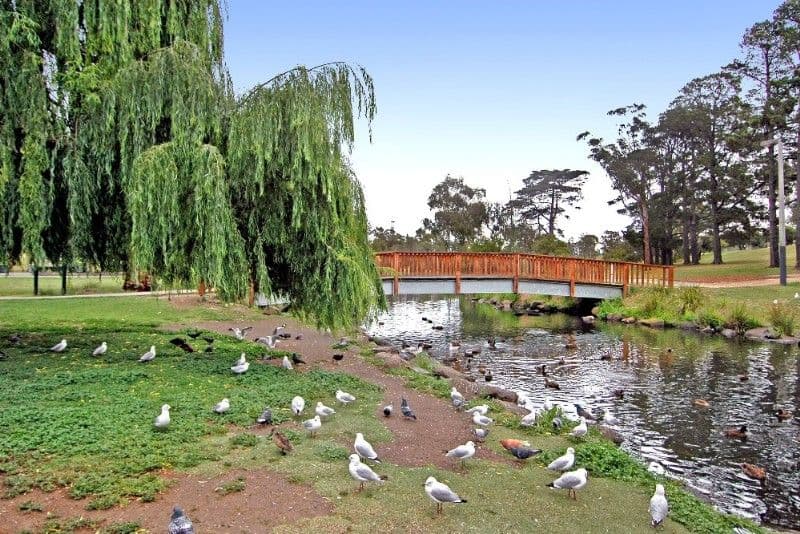 2 Griffiths Street, RESERVOIR VIC 3073, Reservoir - Thumbnail 7