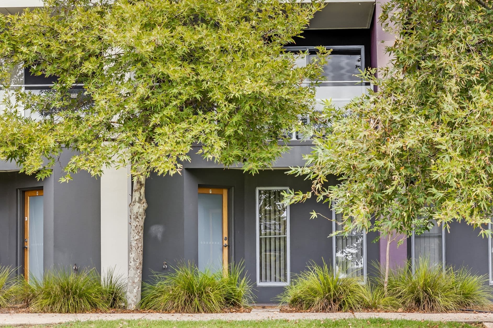 16 Swinden Crescent, Blakeview SA 5114, Blakeview - Thumbnail 2