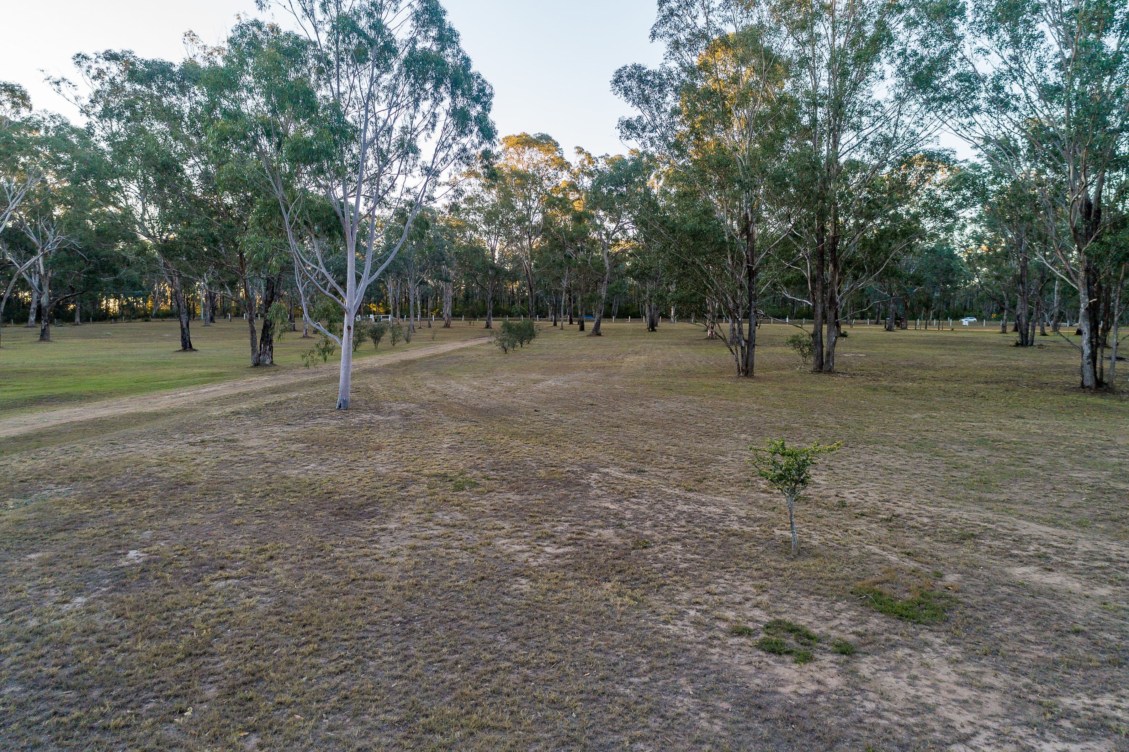 568 Lovedale Road, Lovedale - Thumbnail 2