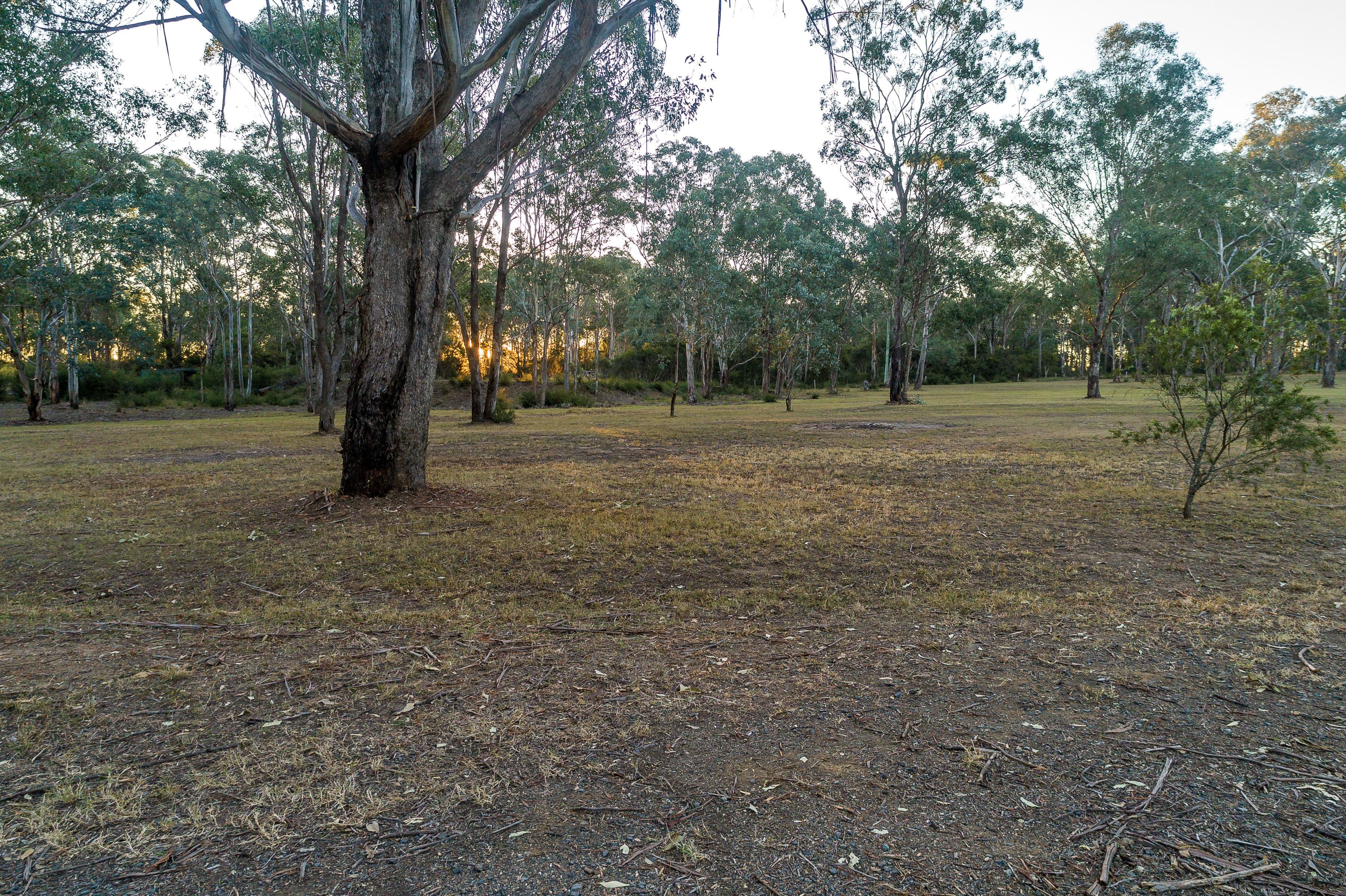 568 Lovedale Road, Lovedale - Thumbnail 3