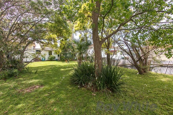 37 Englund Street, Birmingham Gardens NSW 2287, Birmingham Gardens - Thumbnail 6