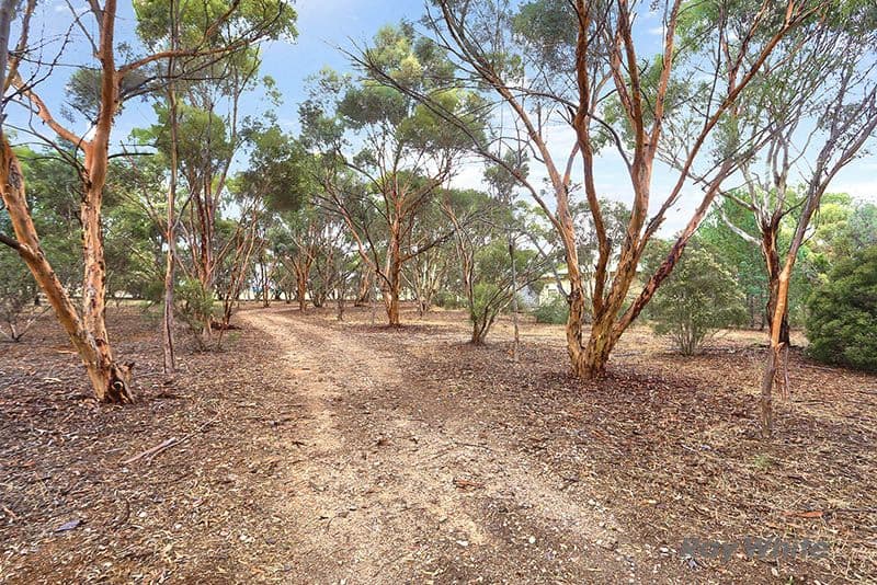 74 Moores Road, Auburn SA 5451, Auburn - Thumbnail 2