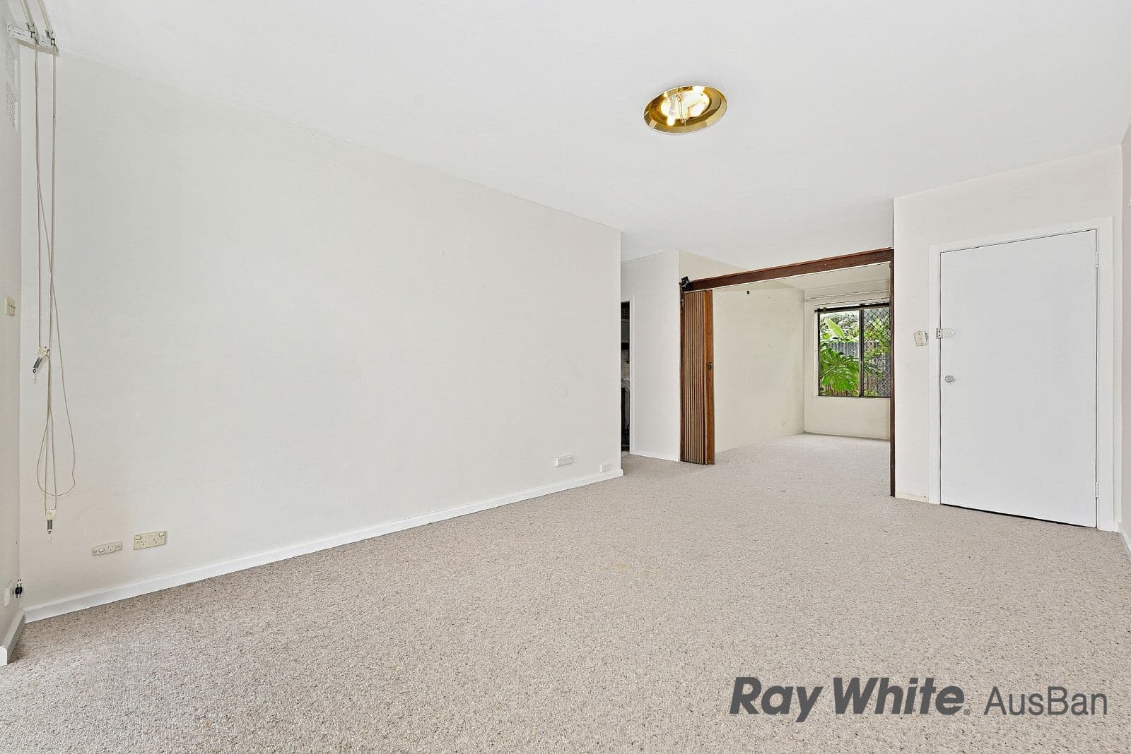 75 Alice Street, Wiley Park - Thumbnail 5