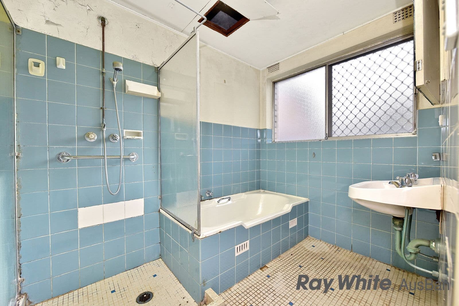 75 Alice Street, Wiley Park - Thumbnail 6