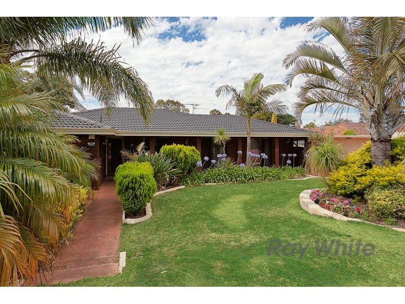 19 Passey Place, KARDINYA WA 6163, Kardinya - Image 1