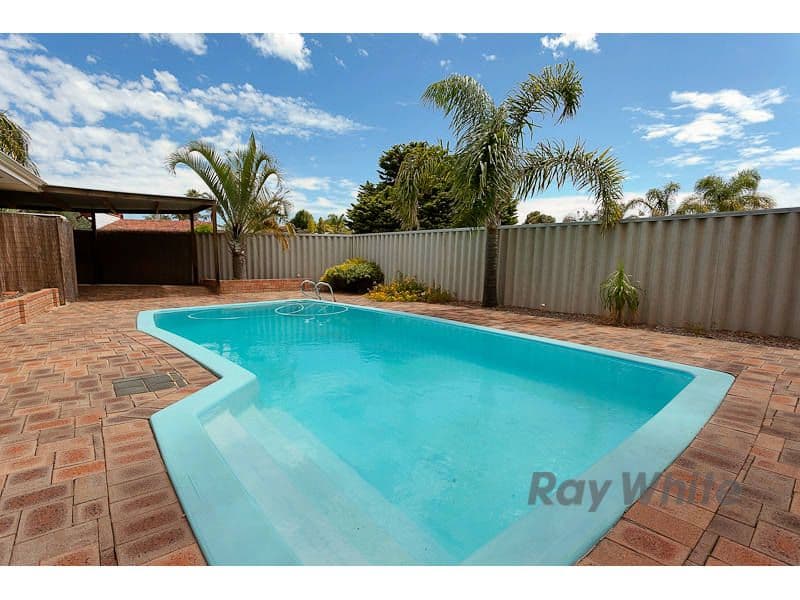 19 Passey Place, KARDINYA WA 6163, Kardinya - Thumbnail 3