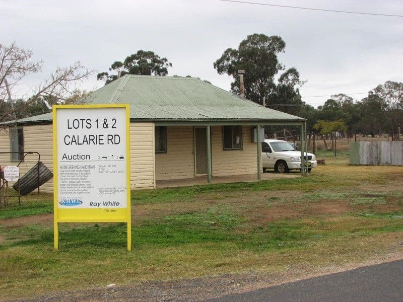 Lots 1 and 2 Calarie, FORBES NSW 2871, Forbes - Image 1