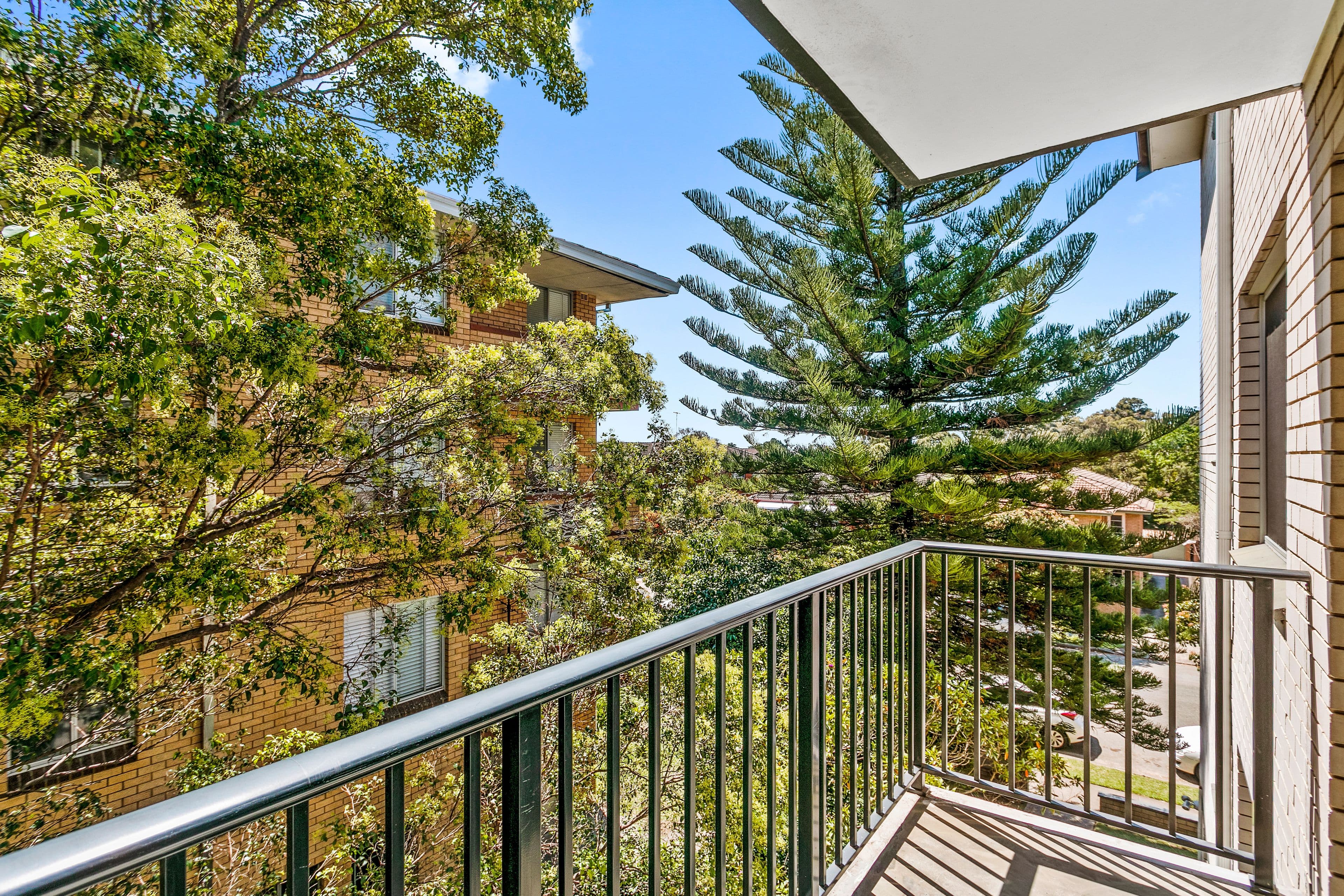 17 Nelson Street, Penshurst NSW 2222, Penshurst - Thumbnail 5