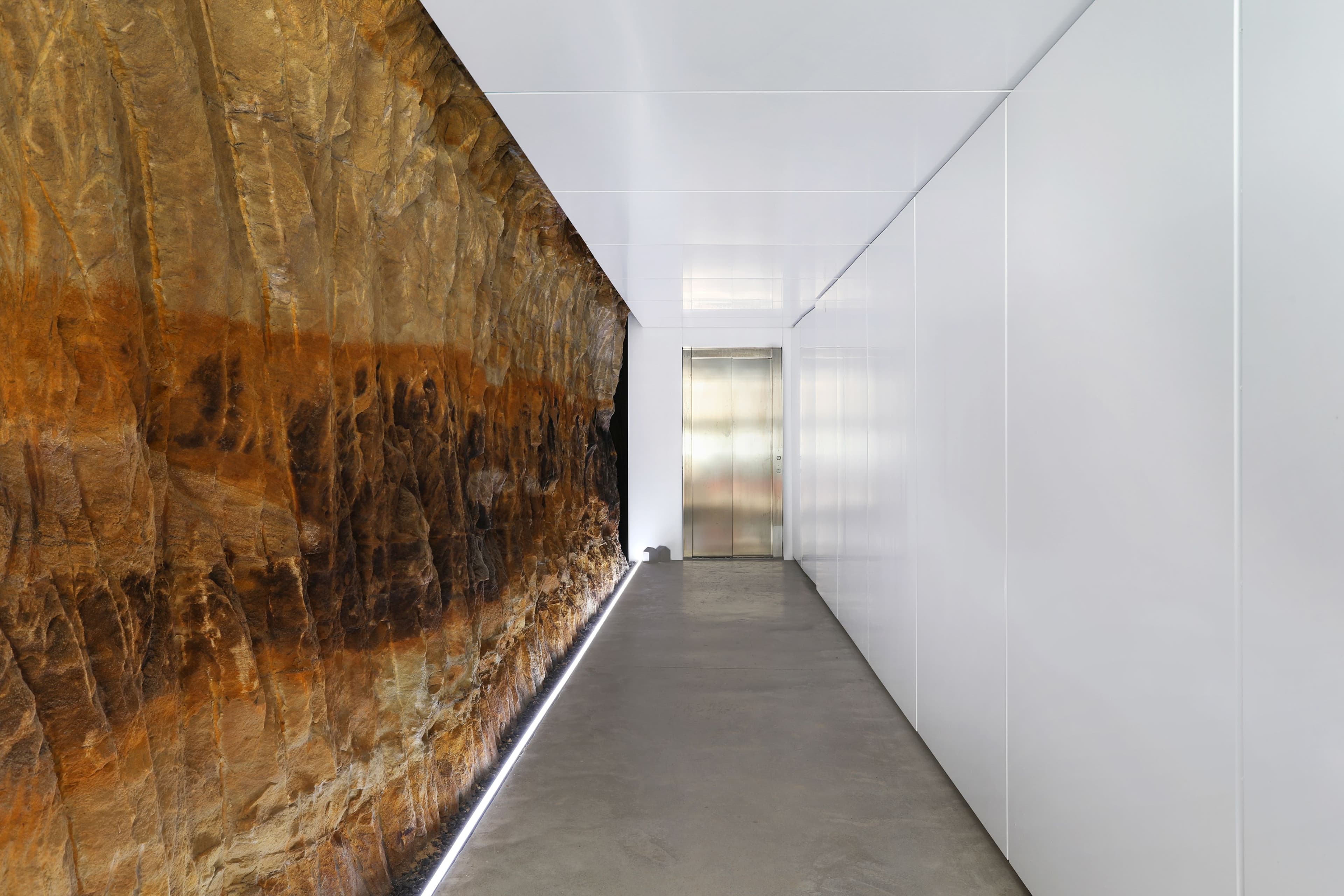 55 Hardy Street, Dover Heights - Thumbnail 6