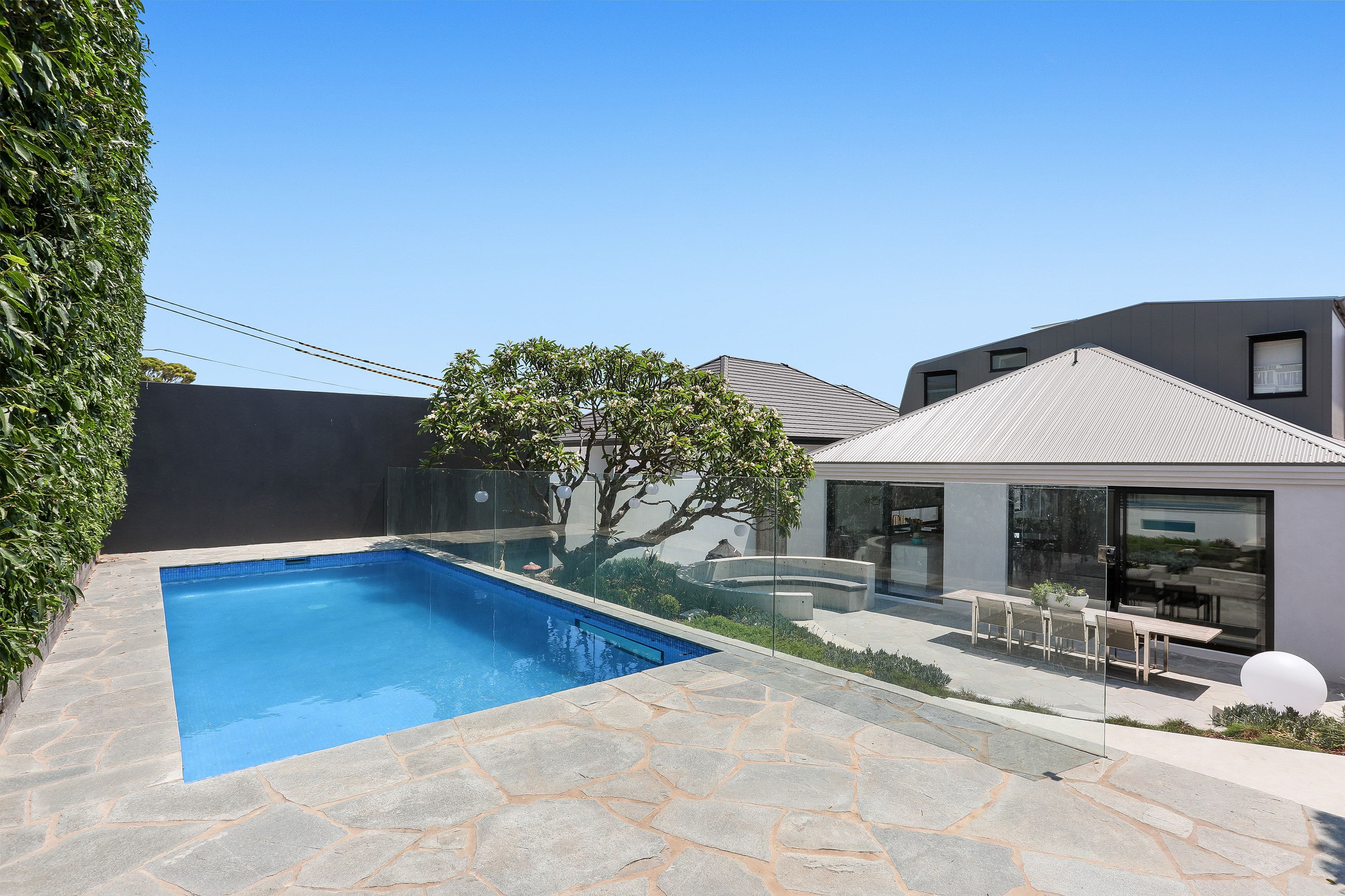 55 Hardy Street, Dover Heights - Thumbnail 7