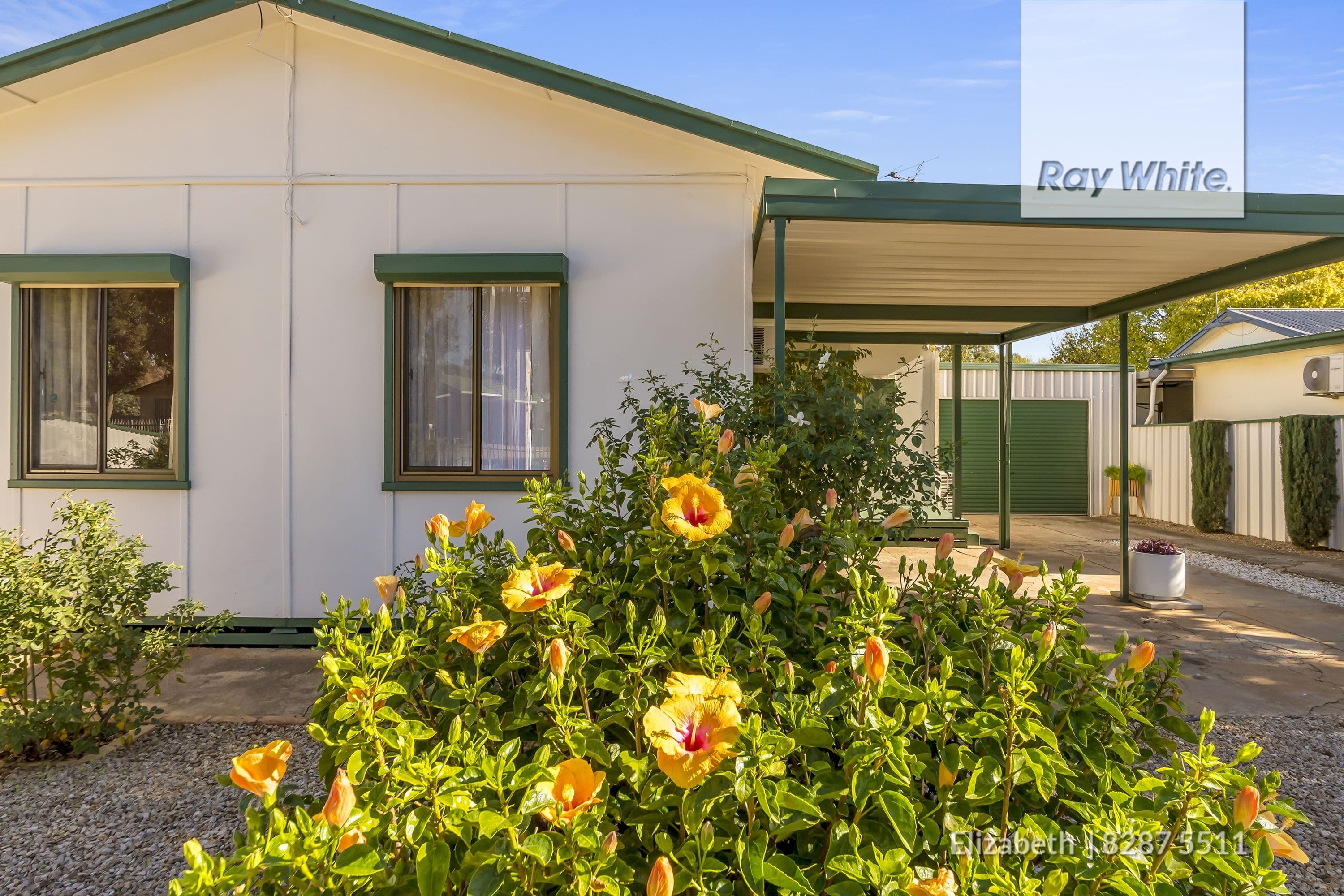 16 Grayling Street, Elizabeth East SA 5112, Elizabeth East - Thumbnail 3