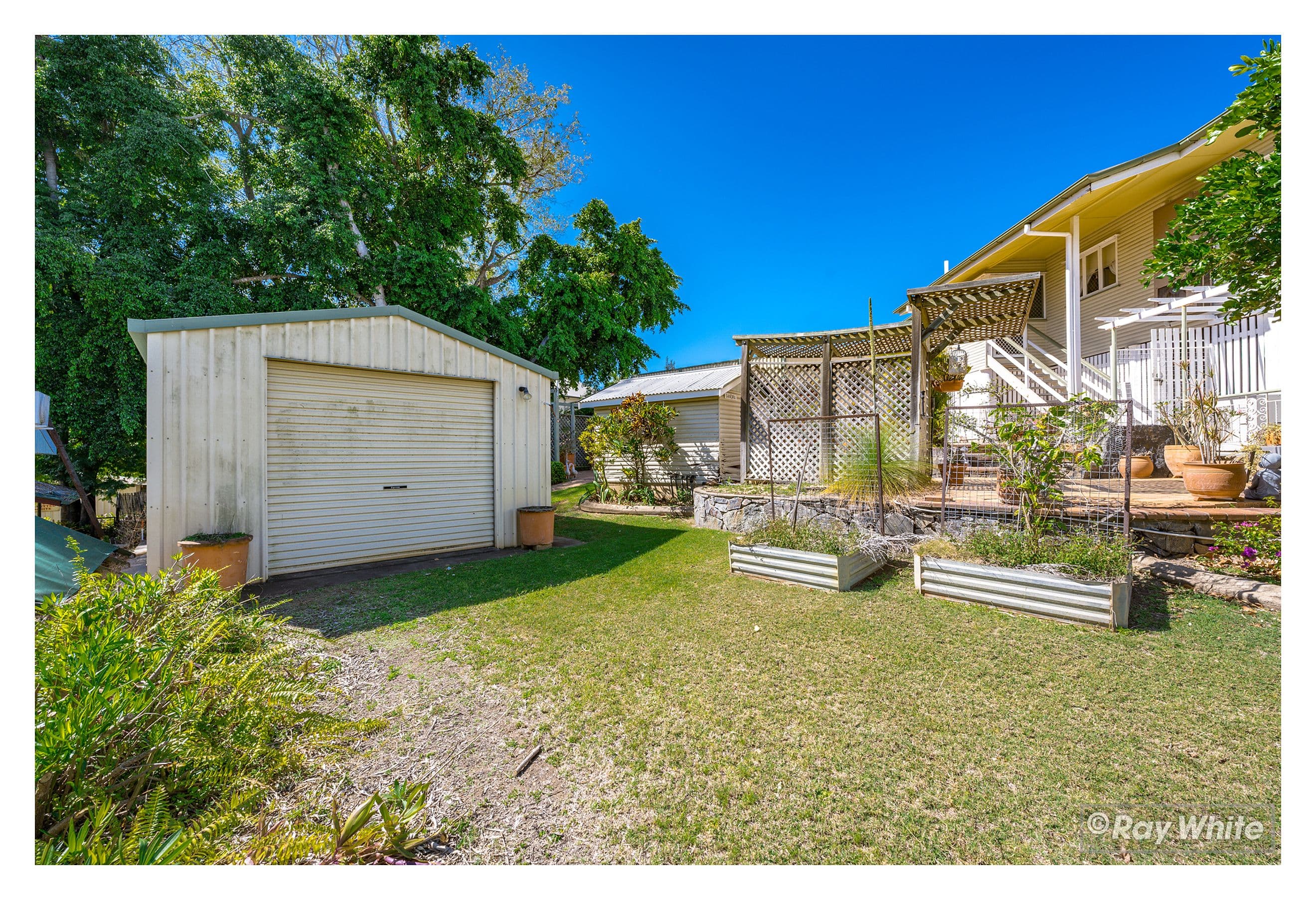 6 Considine Street, The Range QLD 4700, The Range - Thumbnail 4