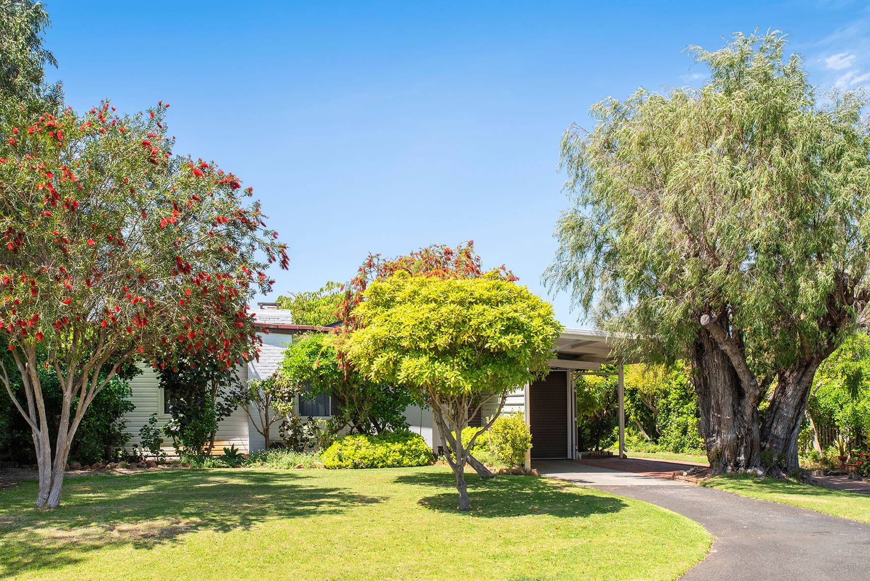 3 Andrews Street, Geographe WA 6280, Geographe - Image 1