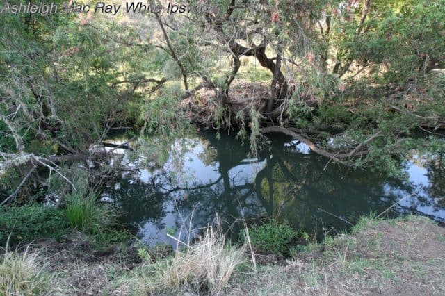 0 Kerwitz Road, Rosevale QLD 4340, Rosevale - Thumbnail 3