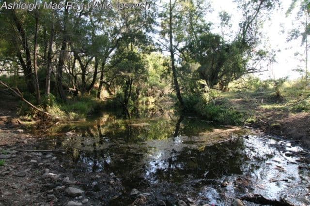 0 Kerwitz Road, Rosevale QLD 4340, Rosevale - Thumbnail 7
