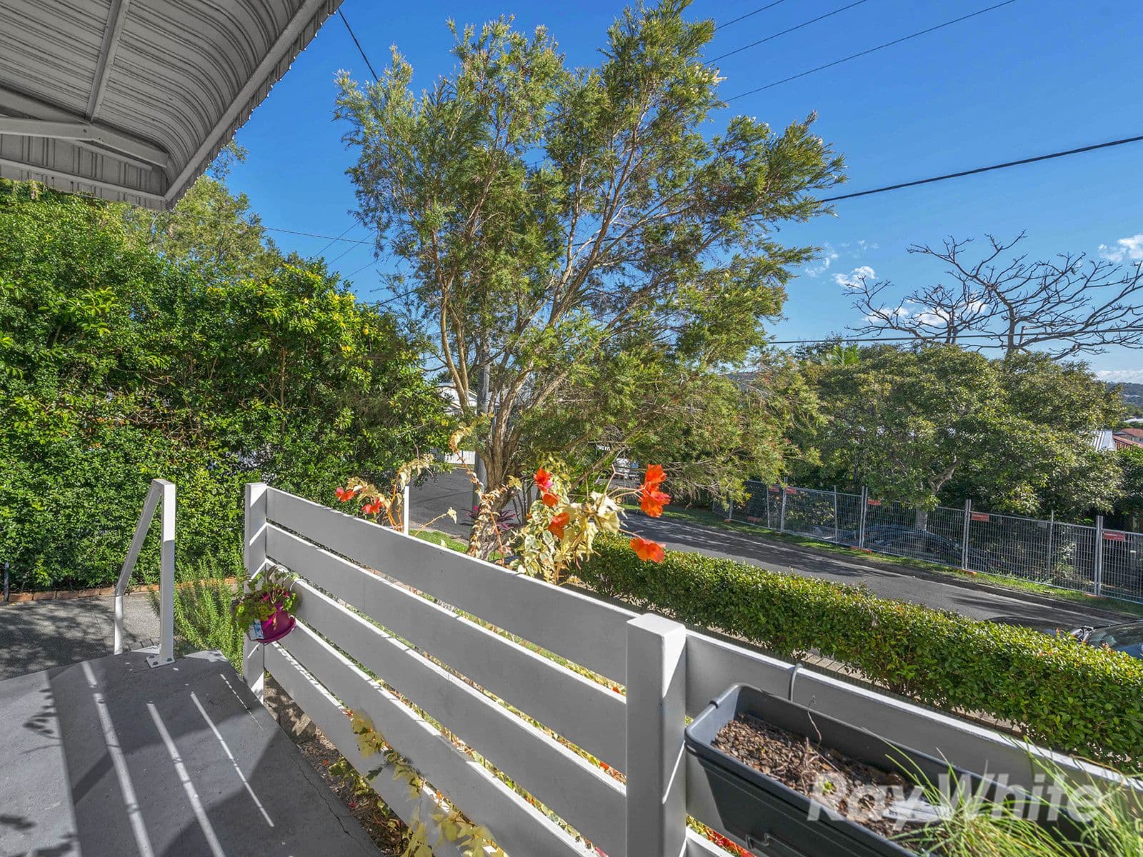 77 Cole Street, Alderley QLD 4051, Alderley - Thumbnail 4