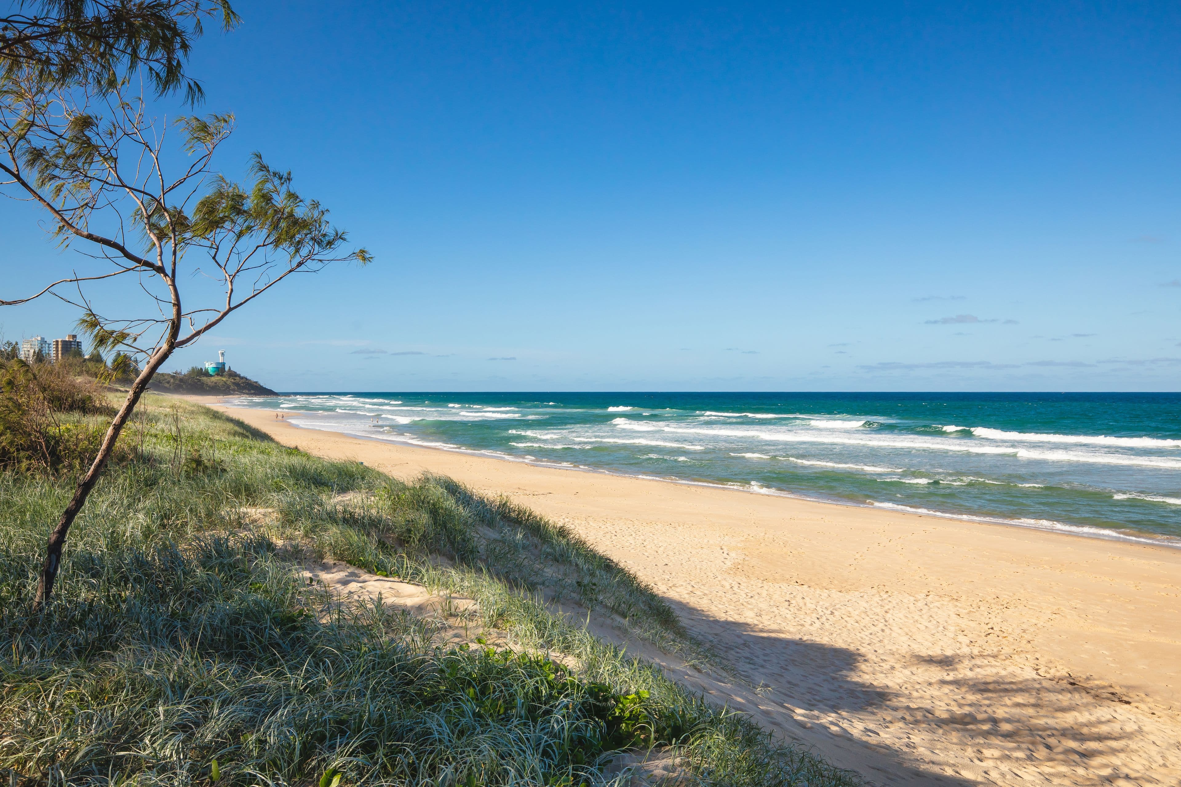 11 Boorook Street, Buddina QLD 4575, Buddina - Thumbnail 6
