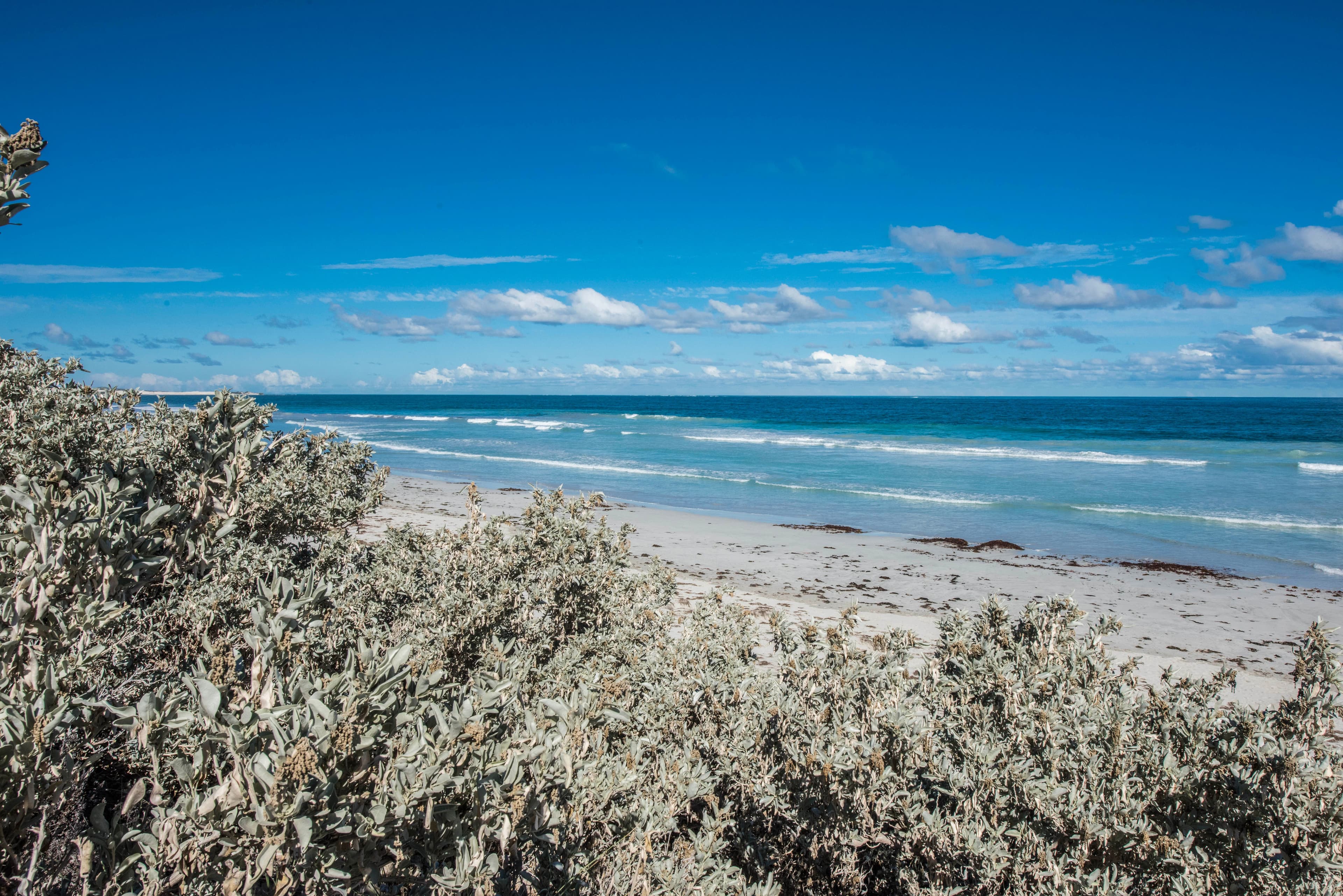 327 Willcock Drive, Tarcoola Beach WA 6530, Tarcoola Beach - Thumbnail 4