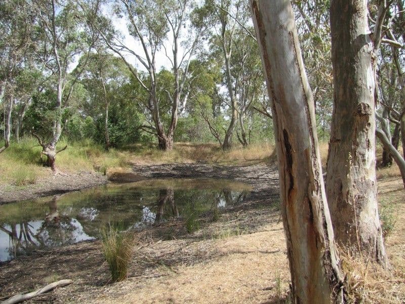 Lot 50 Needles Road, WILLIAMSTOWN SA 5351, Williamstown - Thumbnail 4